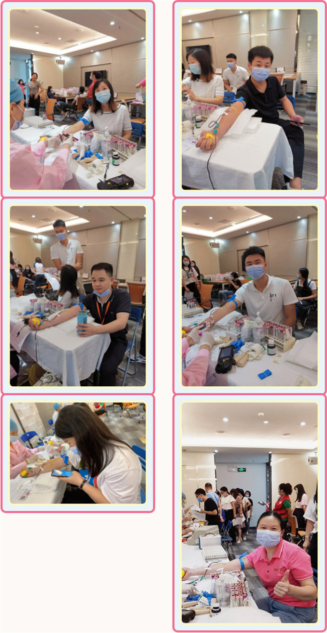 捐獻(xiàn)青春熱血，彩繪人生畫卷——廣東博皓總班委組織了一次“捐我熱血，呵護(hù)生命”的無償獻(xiàn)血公益活動(dòng)    -3