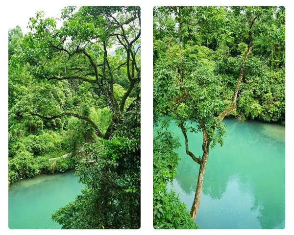 多彩貴州，魅力天下，2021年廣東博皓快樂貴州行-29