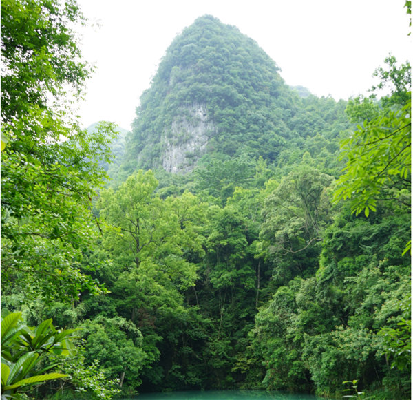 賞華夏大地，游多彩貴州-－2021年廣東博皓快樂行-2
