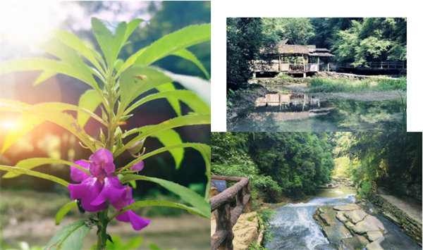 “湘”約鳳凰，相守未來——2022博皓快樂湖南行    -34