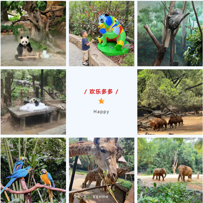 大手牽小手，快樂(lè)親子游！廣東博皓2023年親子游活動(dòng)        -8