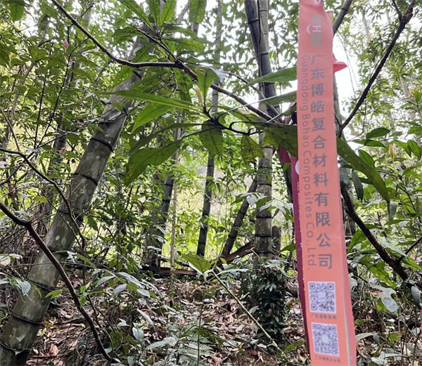 凝心聚力再出發(fā)，風(fēng)雨同舟赴星溪！--廣東博皓2024龍年首登星溪之旅     -2