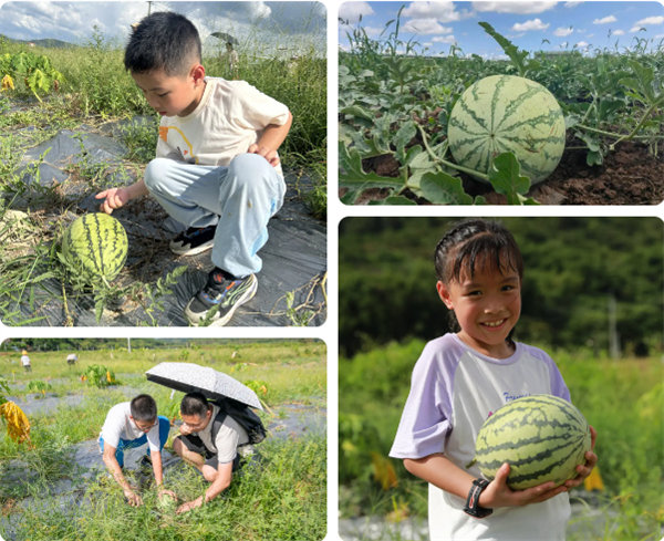 趣游盛夏，一路童行—2024年廣東博皓親子游   -12