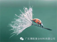 【博皓感悟】成功，要“借力”，不要“盡力”
