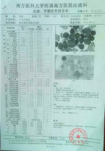 高俊的血液、骨髓檢查報(bào)告單