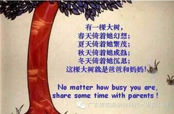 樹就是我們的父母！請愛護(hù)你們身邊的這棵樹！