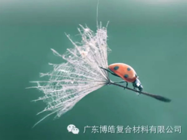 【博皓感悟】成功，要“借力”，不要“盡力”